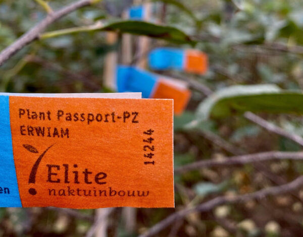 Naktuinbouw-Elite-label-certificering