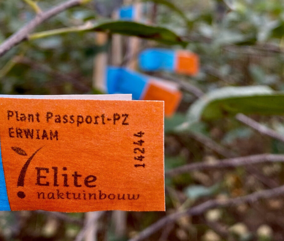 Naktuinbouw-Elite-label-certificering